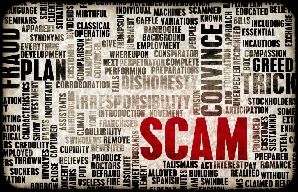 IRS taxpayer information is ripe for fraud?