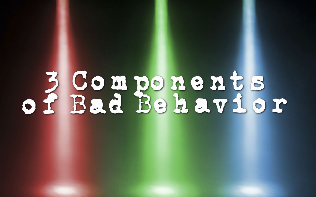 3-components-of-bad-behavior-chuck-gallagher