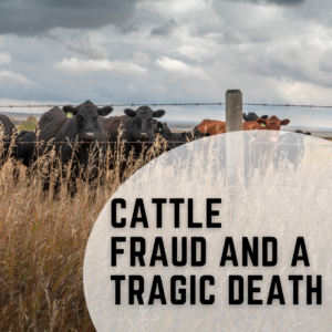 Cattle Fraud and a Tragic Death