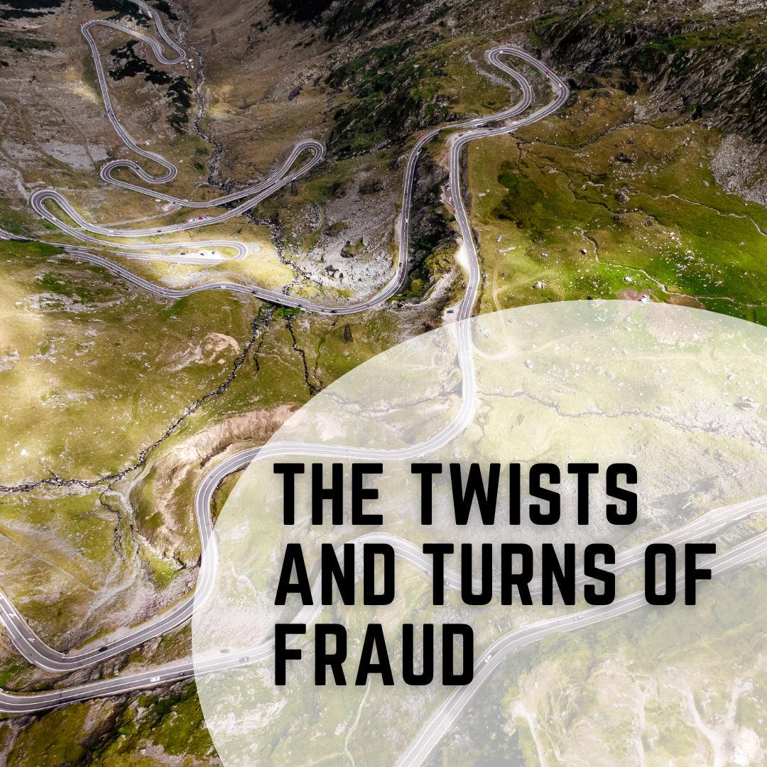 The Twists and Turns of Fraud in Social Work